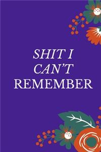 Shit I Can't Remember