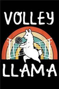 Volley Llama