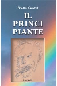 Il principiante