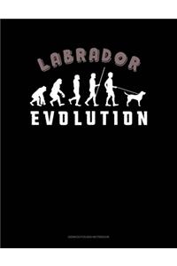 Labrador Evolution