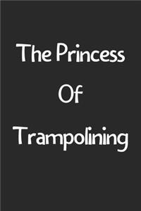 The Princess Of Trampolining