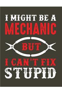 I might be a mechanic but I can't fix stupid