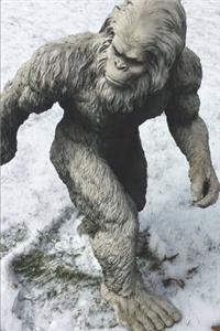 Sasquatch Journal