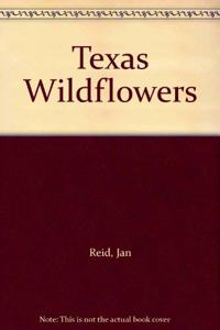 Texas Wildflowers