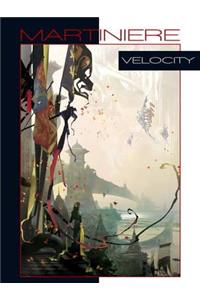 Velocity