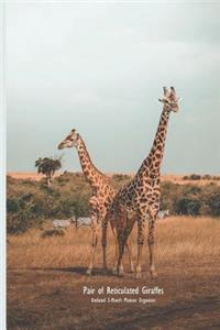 Pair of Reticulated Giraffes Undated 3-Month Planner Organizer