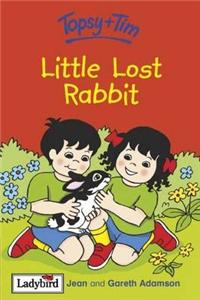 Little Lost Rabbit