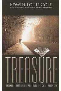 Treasure: Uncovering Patterns and Principles That Create Prosperity