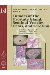 Tumors of the Prostate Gland, Seminal Vesicles, Penis, and Scrotum