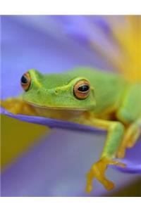 Frog Notebook - Wide Ruled