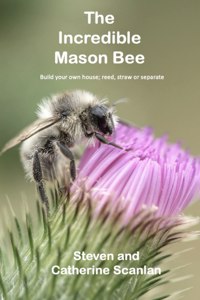 Incredible Mason Bee