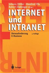 Internet Und Intranet