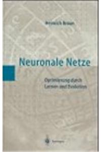 Neuronale Netze: Optimierung Durch Lernen Und Evolution