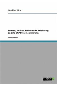 Formen, Aufbau, Probleme in Anlehnung an eine SAP Systemeinführung