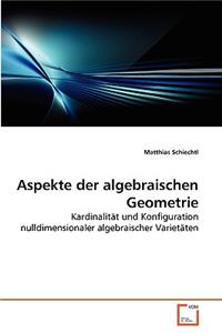 Aspekte der algebraischen Geometrie