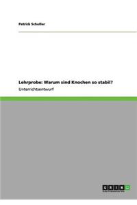 Lehrprobe