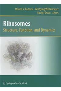 Ribosomes Structure, Function, and Dynamics