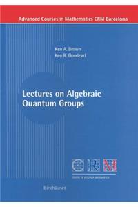 Lectures on Algebraic Quantum Groups