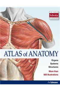 Atlas of Anatomy