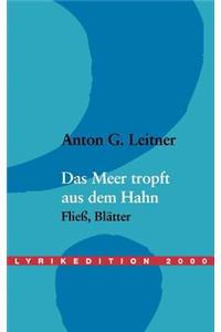 Das Meer tropft aus dem Hahn