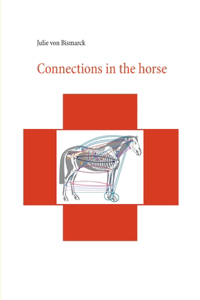 Connections in the horse