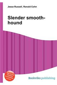 Slender Smooth-Hound