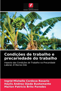 Condições de trabalho e precariedade do trabalho