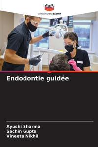 Endodontie guidée