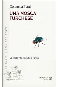 Una Mosca Turchese