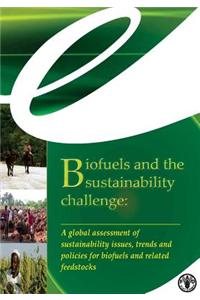 Biofuels and the Sustainability Challenge