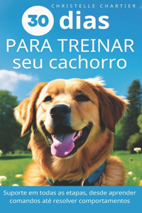 O método para treinar seu cachorro em 15 minutos/dia