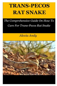 Trans-Pecos Rat Snake