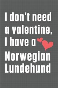 I don't need a valentine, I have a Norwegian Lundehund