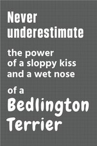 Never underestimate the power of a sloppy kiss and a wet nose of a Bedlington Terrier