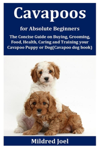 Cavapoos for Absolute Beginners