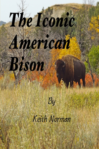 Iconic American Bison