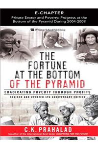 Private Sector and Poverty