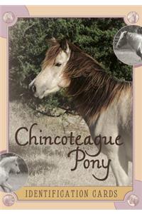Chincoteague Pony Identification Cards
