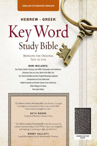 Hebrew-Greek Key Word Study Bible