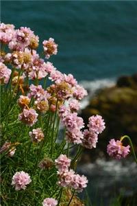 Sea Pink Flowers at Bullers of Buchan Scotland Journal