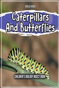 Caterpillars And Butterflies