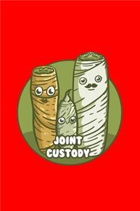 Joint Custody