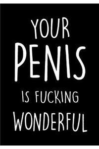 You're Penis Is Fucking Wonderful