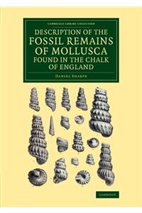 Description of the Fossil Remains of Mollusca Found in the Chalk of England