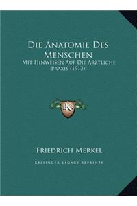 Die Anatomie Des Menschen