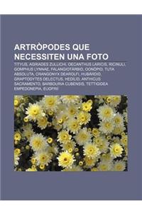 Artropodes Que Necessiten Una Foto
