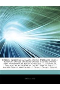 Articles on Icterus, Including: Altamira Oriole, Baltimore Oriole, Bullock's Oriole, Orchard Oriole, Hooded Oriole, New World Oriole, South American Y