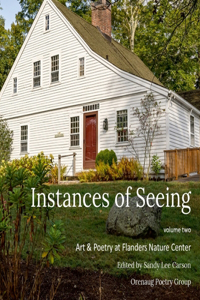 Instances of Seeing, volume 2