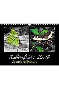Butterflies 2017 Jewels of Nature 2017