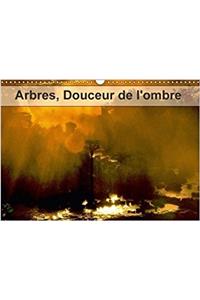 Arbres, Douceur De L'ombre 2018